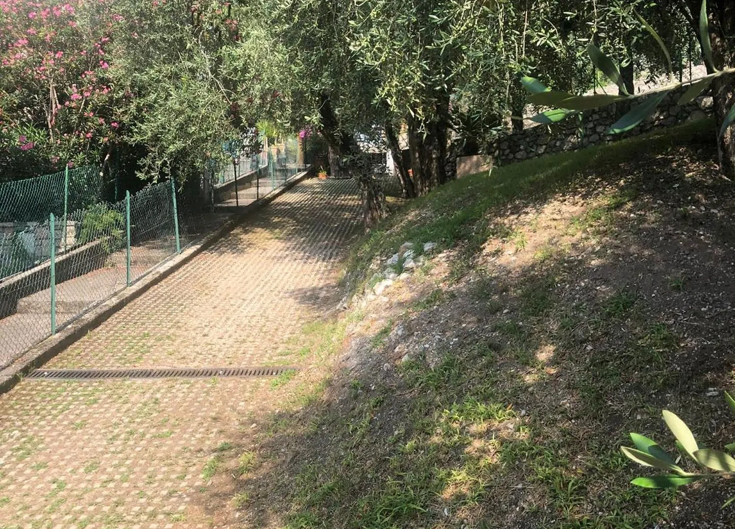 La Casa Sul Lago Apartments - Olive Tree Apartment Limone sul Garda