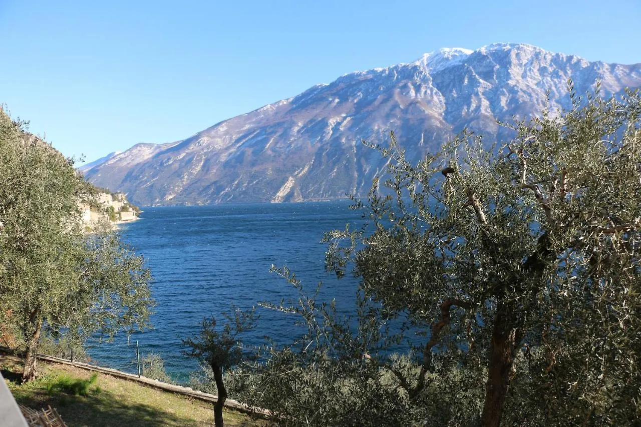 La Casa Sul Lago Apartments - Olive Tree Apartment ليمونِ سول غاردا
