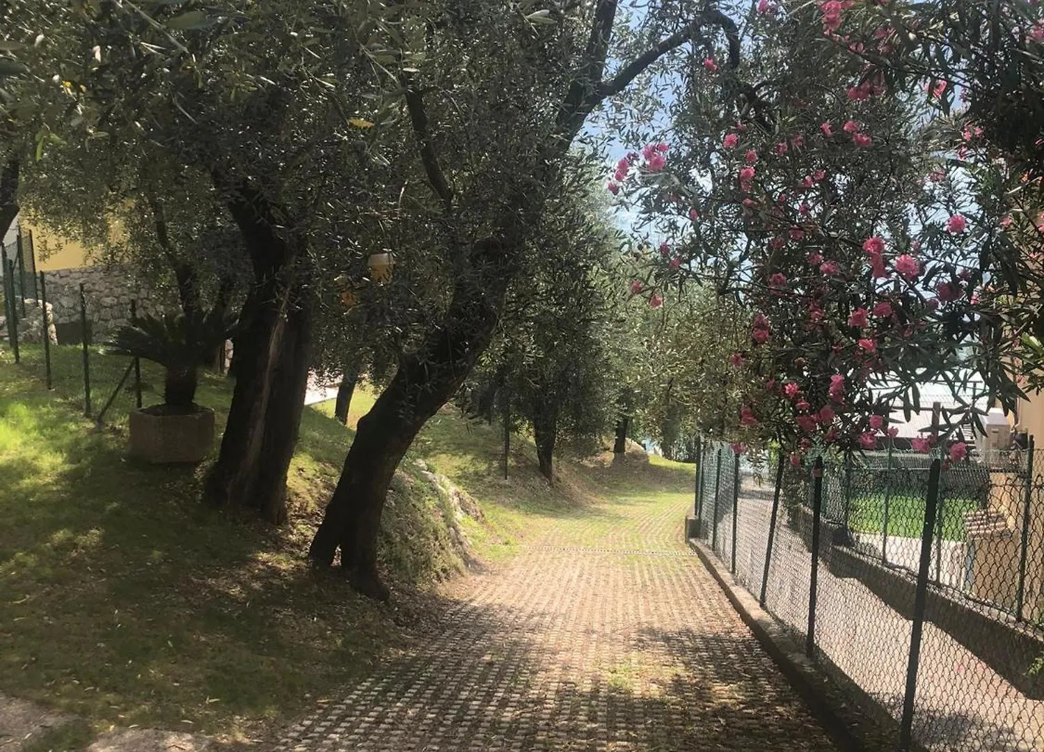 La Casa Sul Lago Apartments - Olive Tree Apartment ليمونِ سول غاردا