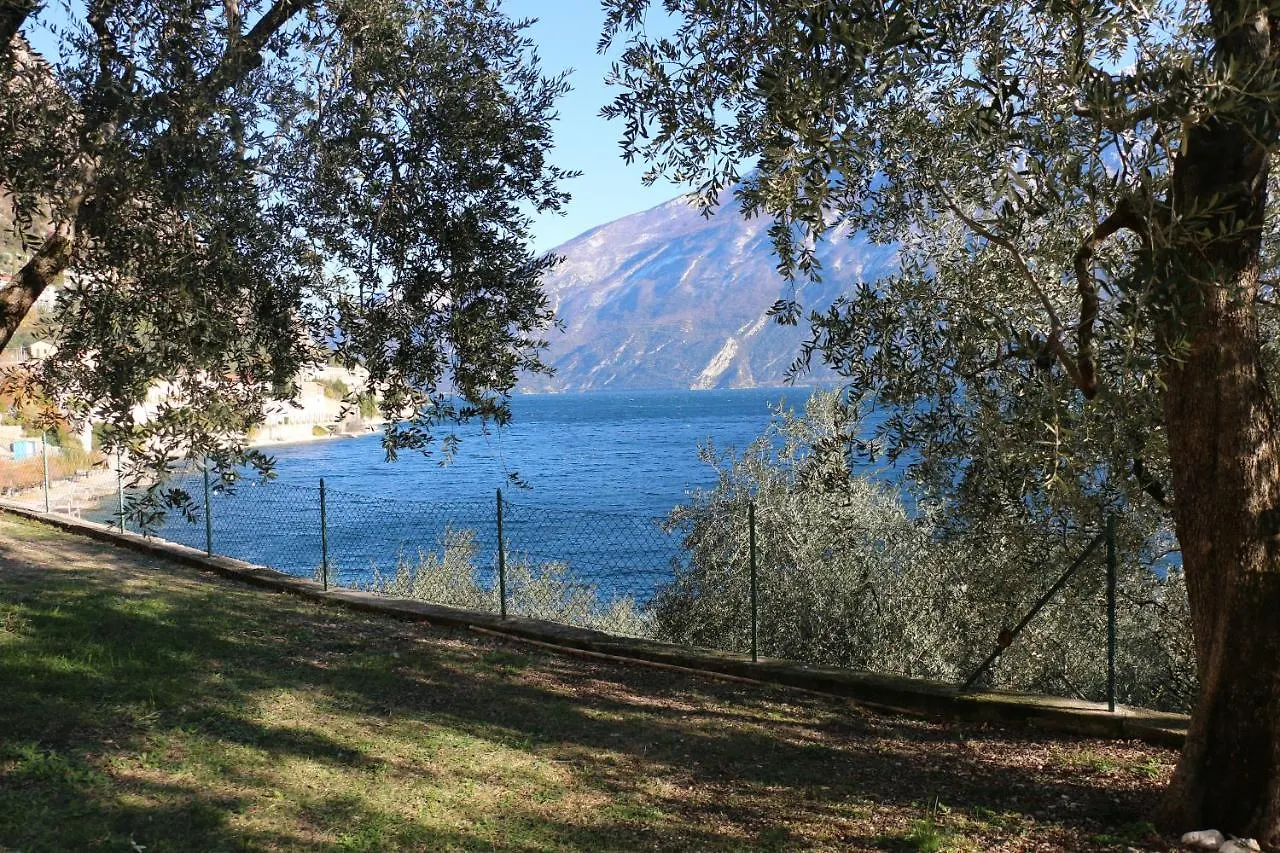 La Casa Sul Lago Apartments - Olive Tree Apartment Limone sul Garda 0*,  Itália